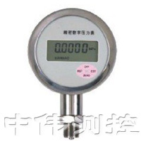 精密數字壓力表